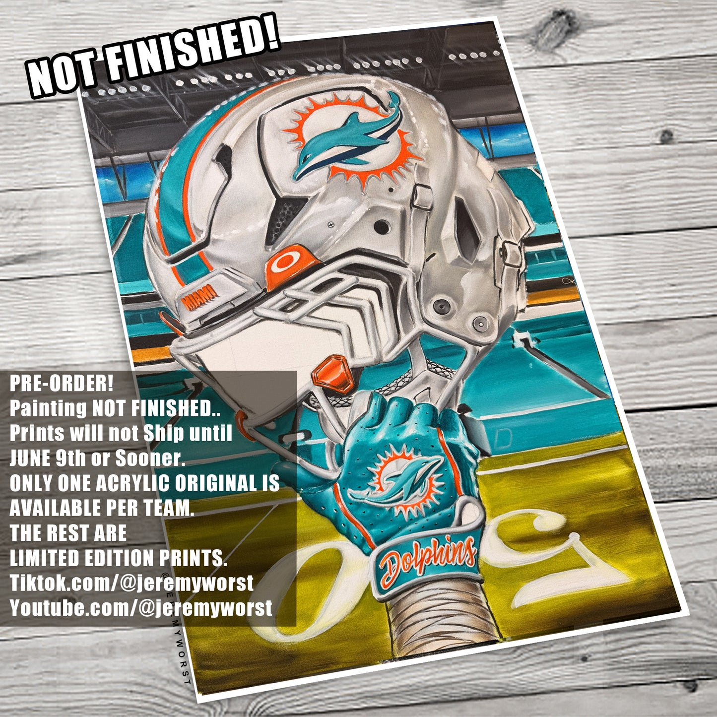 Phins by Jeremy Worst 2025 Sports Football Canvas Print Artwork helmet Nfl Football